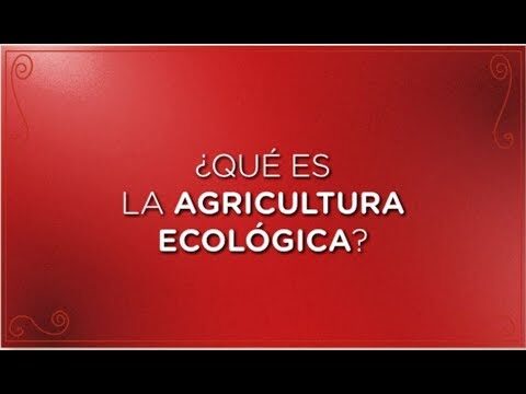 Proceso de Producci&oacute;n Ecol&oacute;gico: Eficiencia Sostenible
