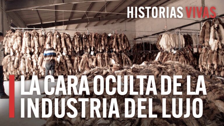 Marcas de lujo en la moda: El arte de la exclusividad